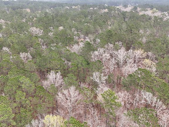 5th image of 0 Gibson Loop