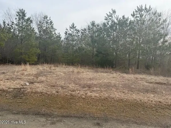 Tbd Carter Street, Woodland, NC 27897