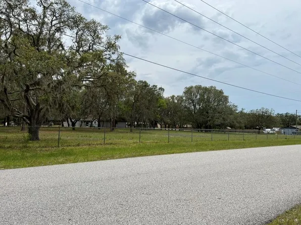 Fringe Tree, Spring Hill, FL 34610