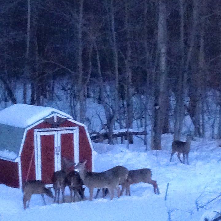 2nd image of 23355 Bohn Rd