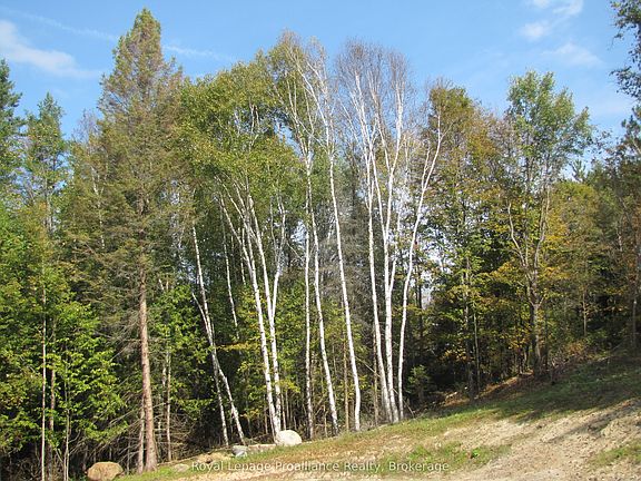 4th image of 1054 Centre Line Rd