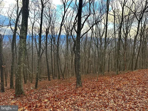 14 Sec #8, Slanesville, WV 25444