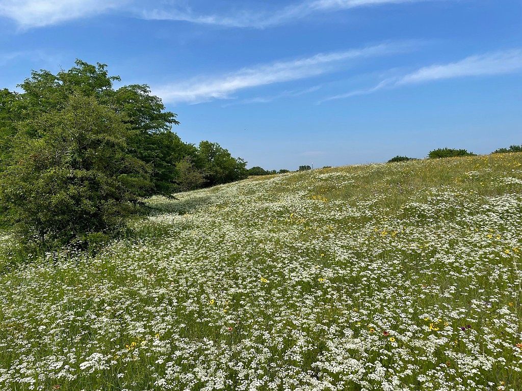 417 Willow Ct, Saint Jo, TX 76265 | MLS #20423659 | Zillow