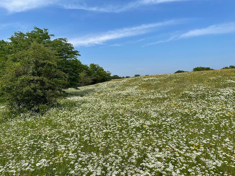 417 Willow Ct, Saint Jo, TX 76265 MLS 20423659 Zillow