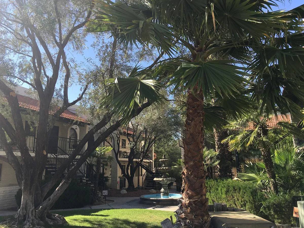 1 bed, 600 sqft, $900 — Photo 2