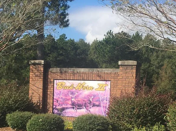 1095 Alayna Dr, Manning, SC 29102