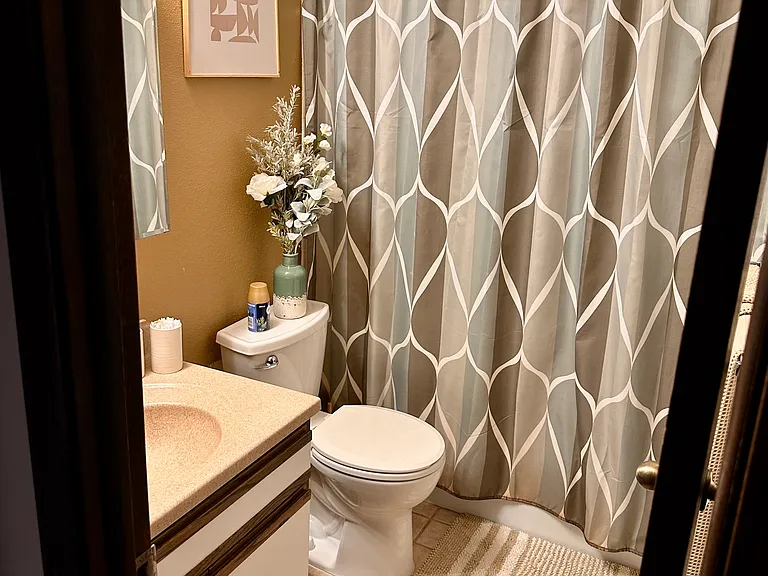 Bethroom, comes unfurnished.