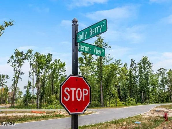 113 Holly Berry Ct Lot 18, Wilmington, NC 28401