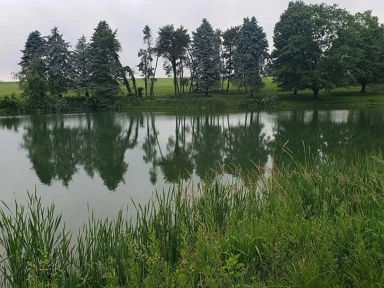 1314 State Route 603 — Photo 11