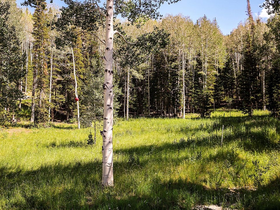 1st image of 273 White Pine Canyon Rd Lot 273