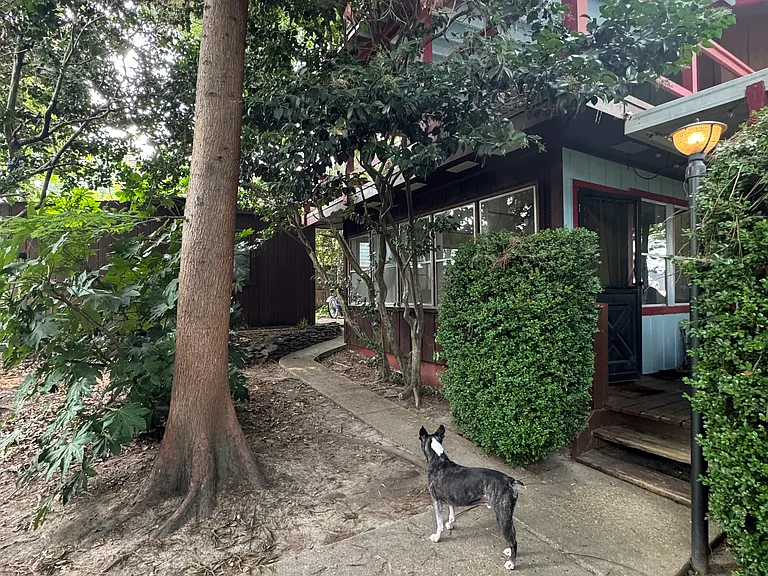 706 Virginia Ave — Photo 12