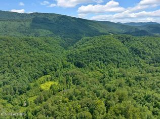 013.01 Jones Ln, Mooresburg, TN 37811