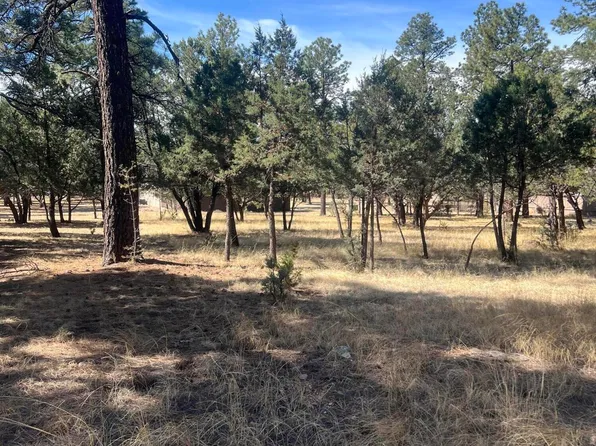 LOT 7 Mira Monte Rd #1, Alto, NM 88312