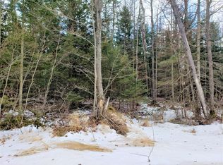 W Lake Street Loop, Brimley, MI 49715