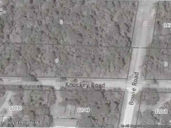 12041 Knuckey Rd, Brooksville, FL 34614