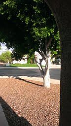 From front porch