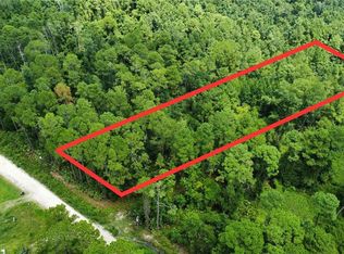 Mallard Rd LOT 1, Satsuma, FL 32189