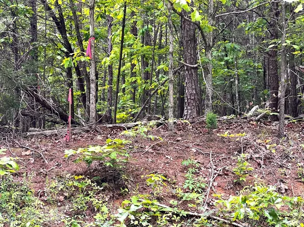 Old Tower Hill Rd, Dillwyn, VA 23936