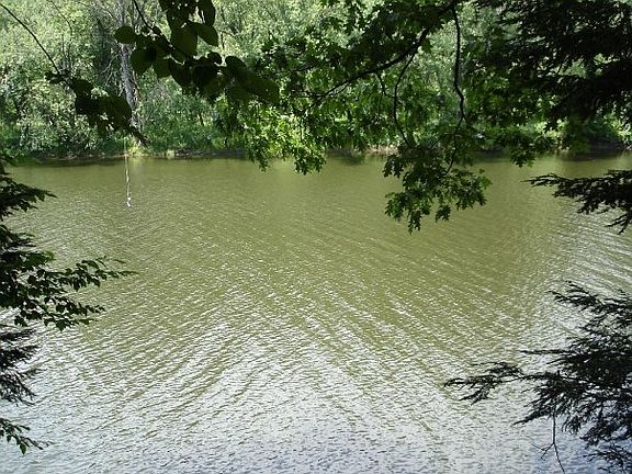 Housatonic River from yard