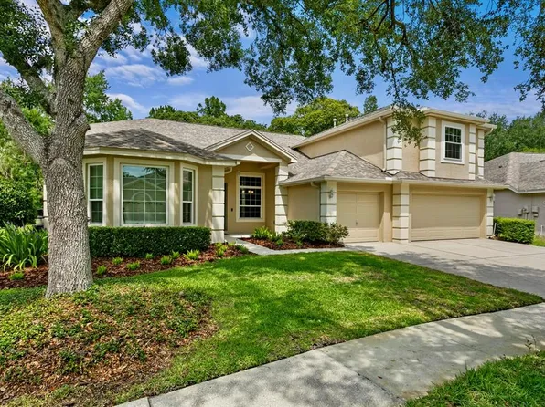 19207 AUTUMN WOODS AVENUE, TAMPA, FL 33647