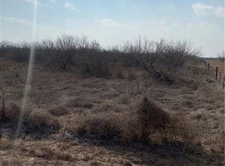 0 County Road 218, Falfurrias, TX 78355