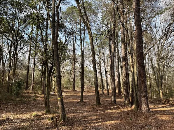 13200 Old Pascagoula Rd, Grand Bay, AL 36541