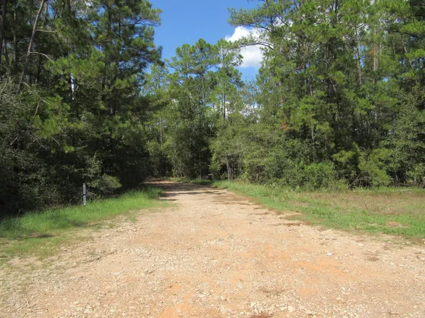 2223 Crysel Rd, Cleveland, TX 77328