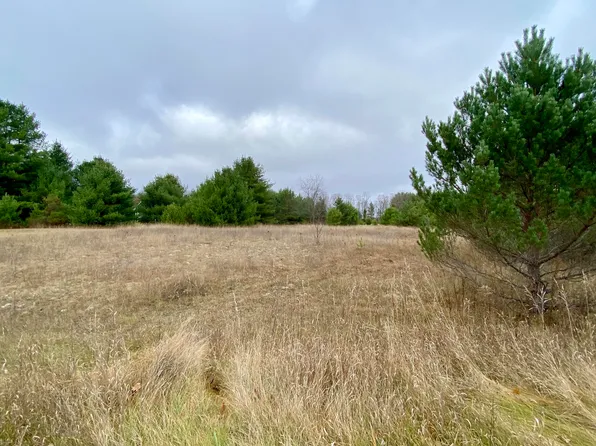 Tag Alder Trl, Gaylord, MI 49735