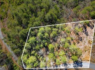 0 Mountain Laurel Dr, Mineral Bluff, GA 30559