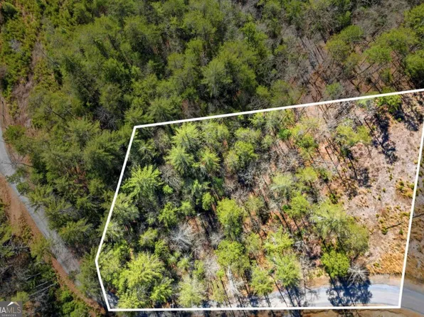 0 Mountain Laurel Dr, Mineral Bluff, GA 30559