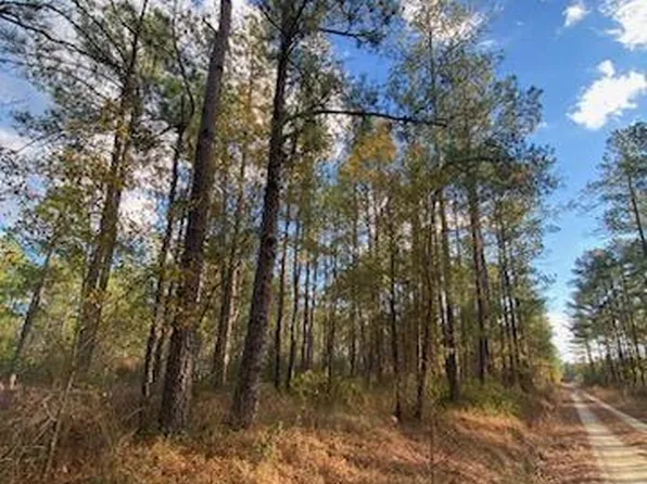 0 Off Jasper Richardson Trail, Elizabethtown, NC 28337