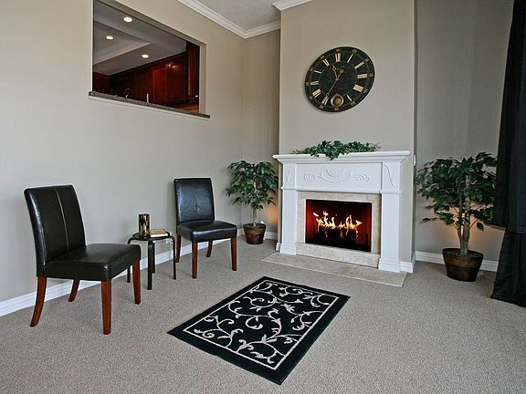 Living Room Fireplace