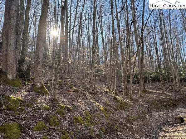 Lot 2 Buckeye Ridge Road, Beech Mountain, NC 28604