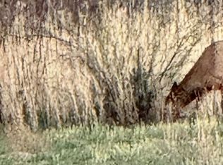 Ashurst Area, Fort Thomas, AZ 85536