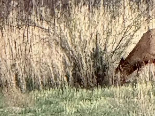 Ashurst Area, Fort Thomas, AZ 85536