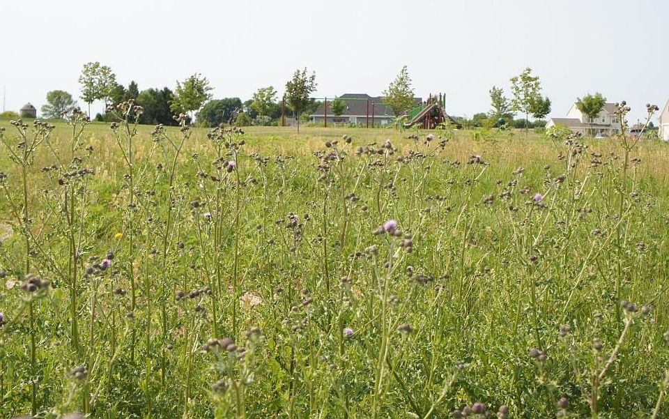 Beautiful Building Lot in Port!