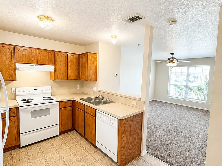 2710 Vernice Loop #B — Photo 4