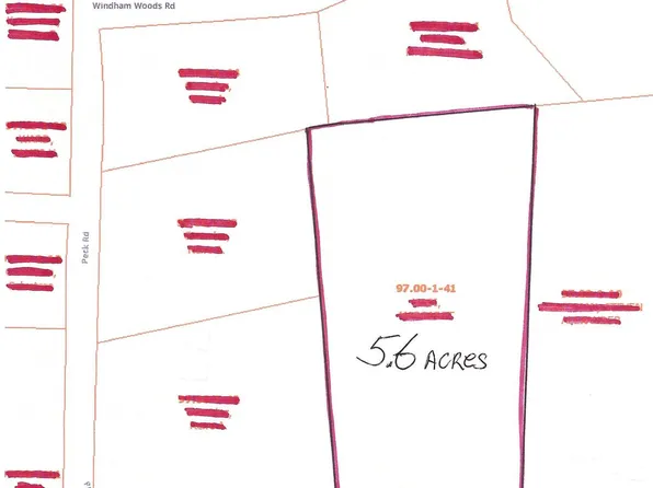 0 Peck Road, Windham, NY 12496