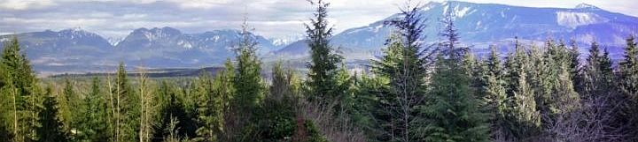 panoramic