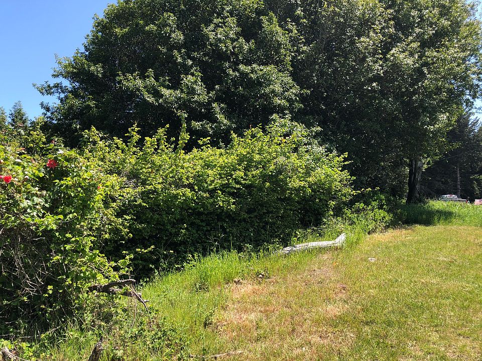 2nd image of 529 Redwood Rd