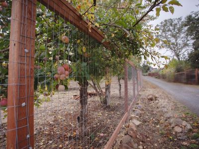 4504 Parker Hill Road, Santa Rosa, CA, 95404