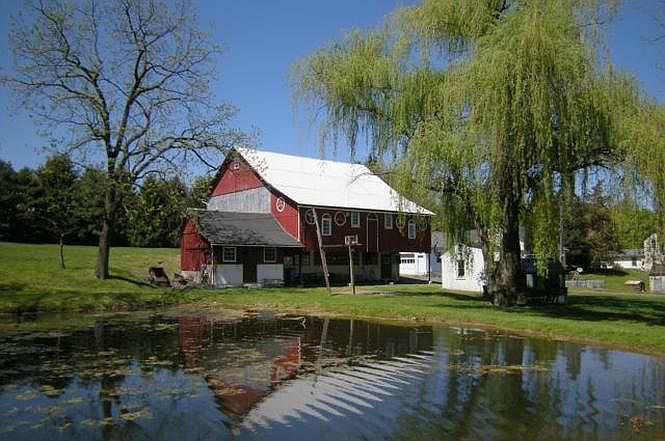 Pond and barn. Cottage on other side of barn.