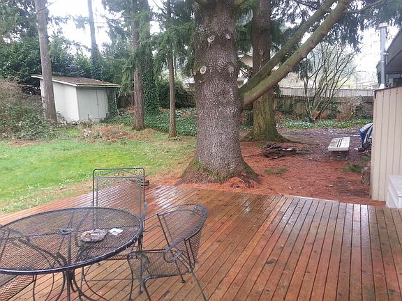 Back yard with limited storage