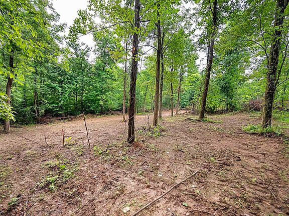 2nd image of LOT 6 Burnt Cabin Rd