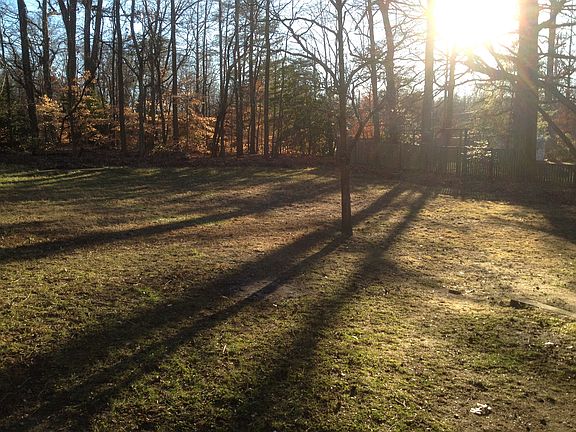 4th image of 1027 Forest Hills Ave