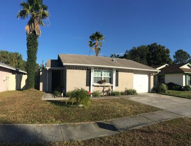 10705 Fairfield Village Dr, Tampa, FL, 33624