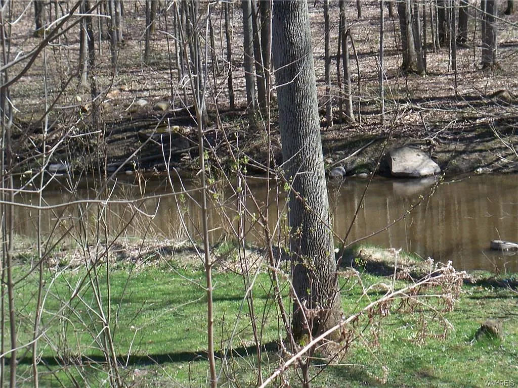 8434 Forest Rd photo 1