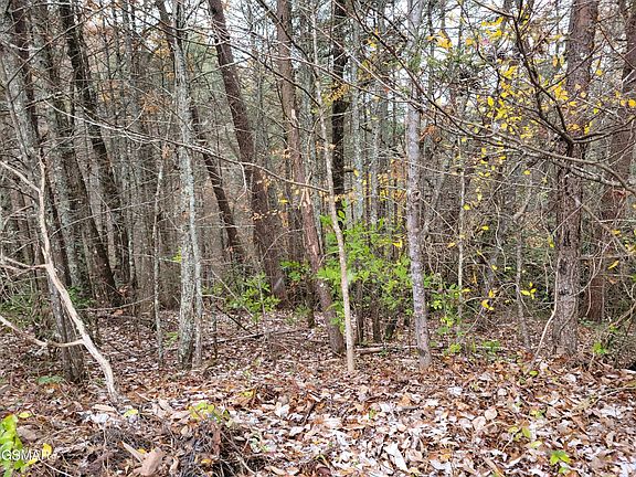3rd image of 12 Ridge View Dr Lot 1&2