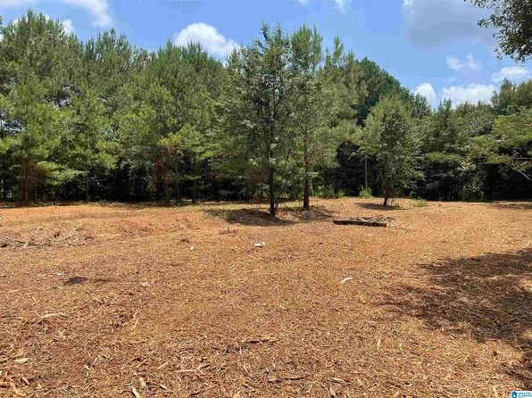 218 County Road 700 #0, Cullman, AL 35055