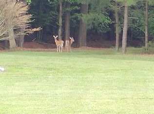 4807 Woodland Dr, Rhodesdale, MD 21659